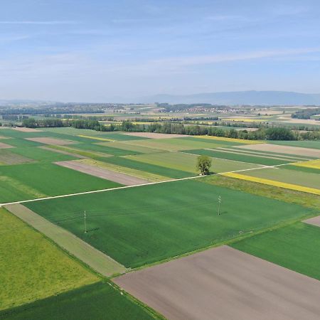 Les Moucherons Avenches Eksteriør bilde