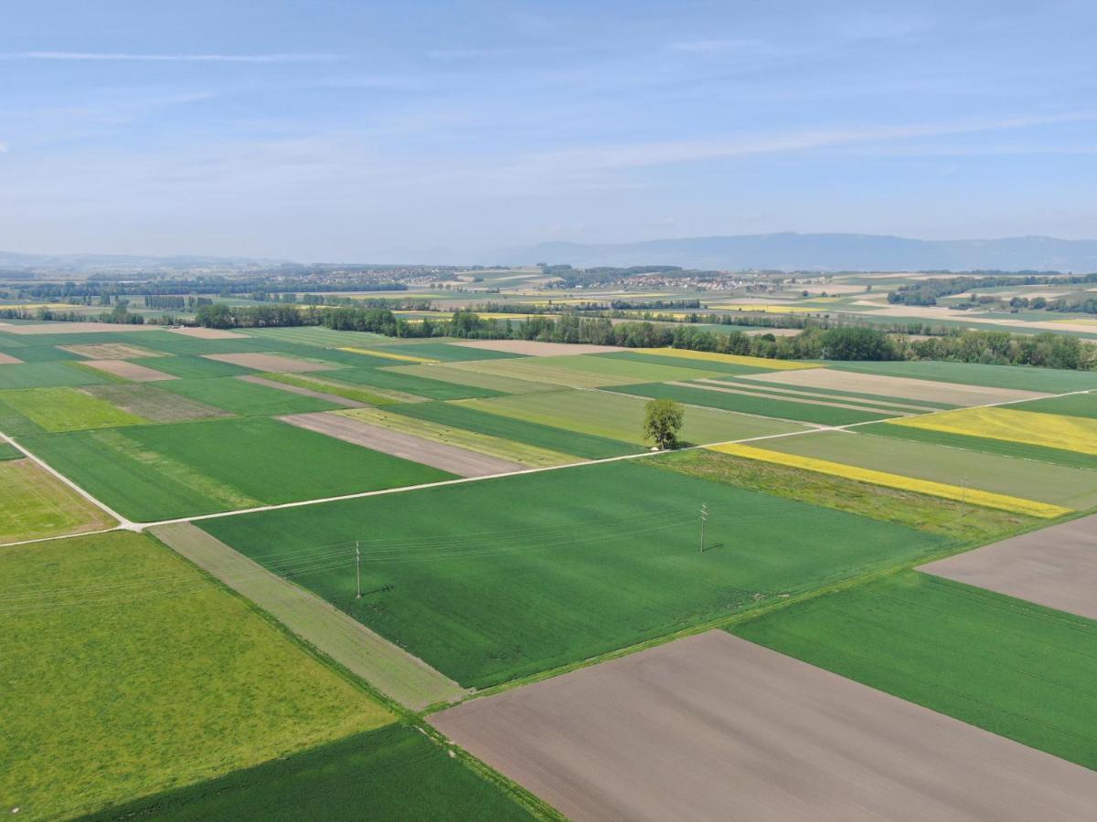 Les Moucherons Avenches Eksteriør bilde